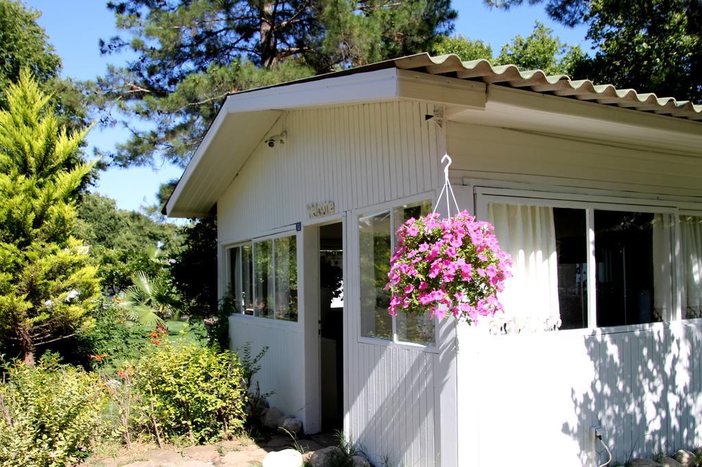 Defne Pension Cirali Bagian luar foto
